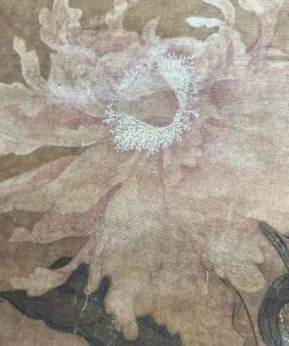 恽冰牡丹卷轴画