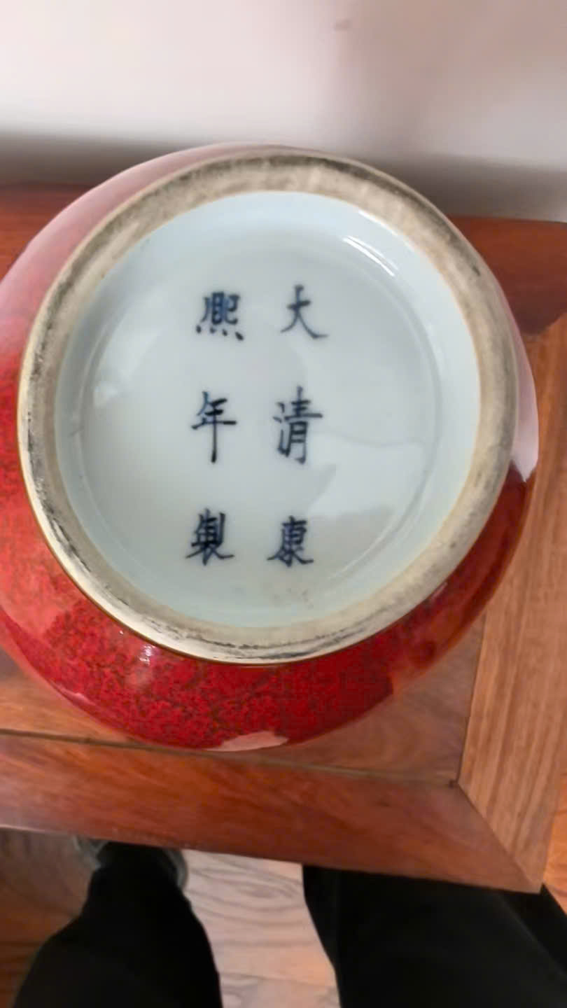 红釉赏瓶 (Qing Kangxi red-glazed vase)