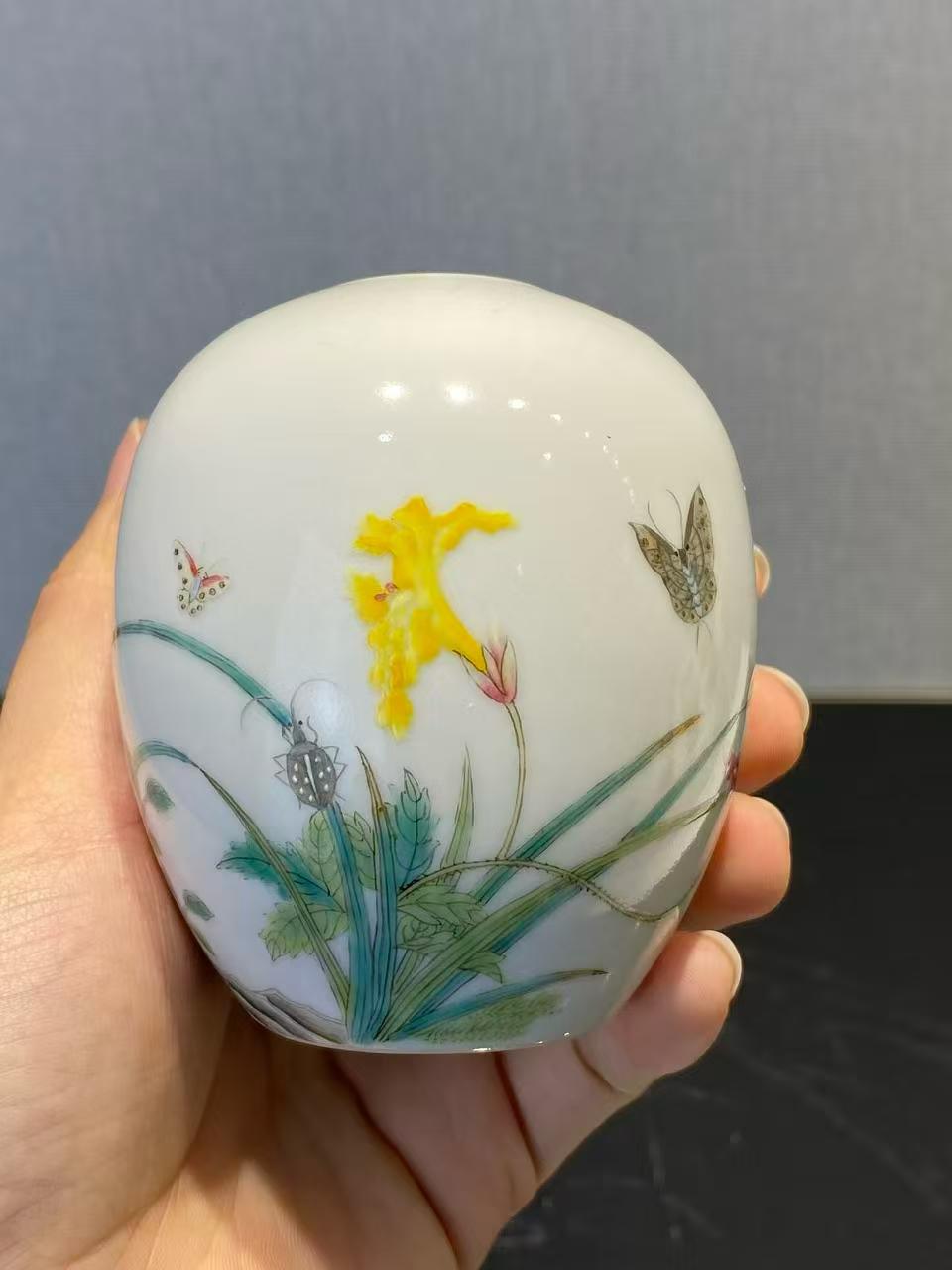 珐琅彩花虫诗文蛋形水盂 款：乾隆年制