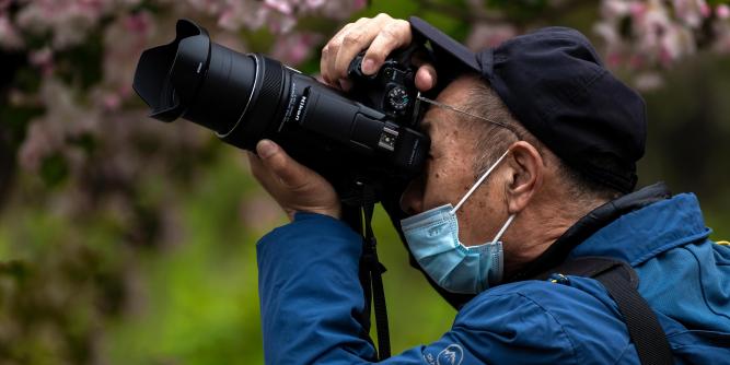 山东发货高低贵贱电饭锅合计刚发合计