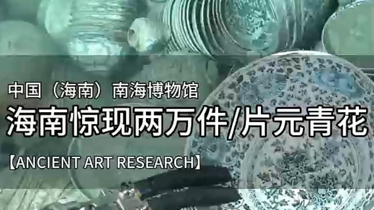 深海遗珍：揭秘海南惊现的两万件元青花之谜